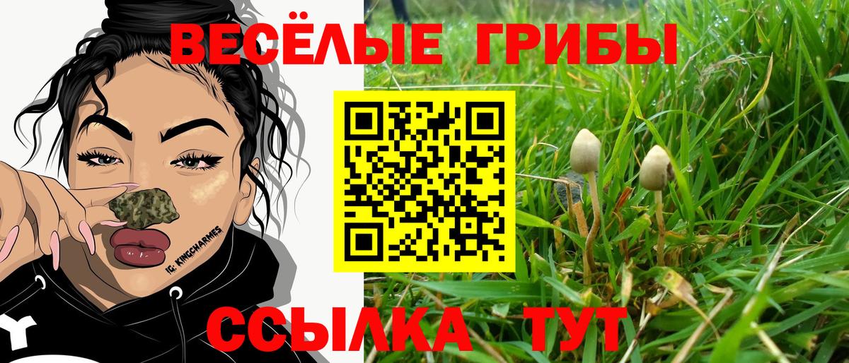 Псилоцибиновые грибы Psilocybe  Галлюциногенные грибы Psilocybe  дарнет шоп  Вход с VPN  Кимовск 