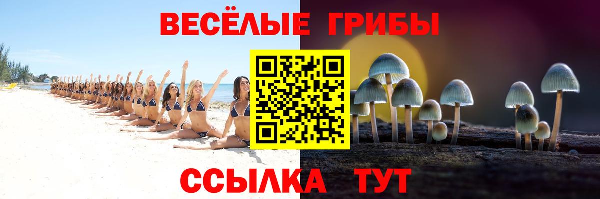 Псилоцибиновые грибы мицелий Кимовск